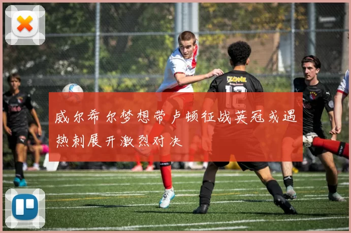 威尔希尔梦想带卢顿征战英冠或遇热刺展开激烈对决